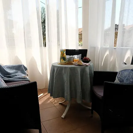 Kate 茨里克韦尼察